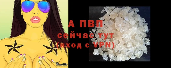 крисы Дмитров