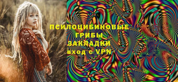 2c-b Елабуга