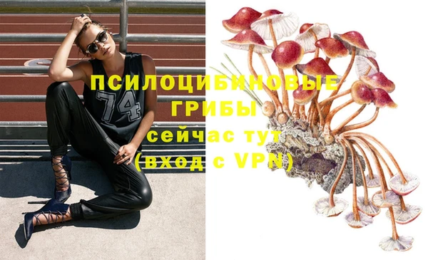 крисы Дмитров
