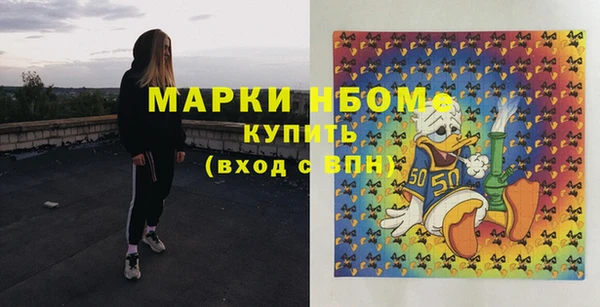 скорость Ельня