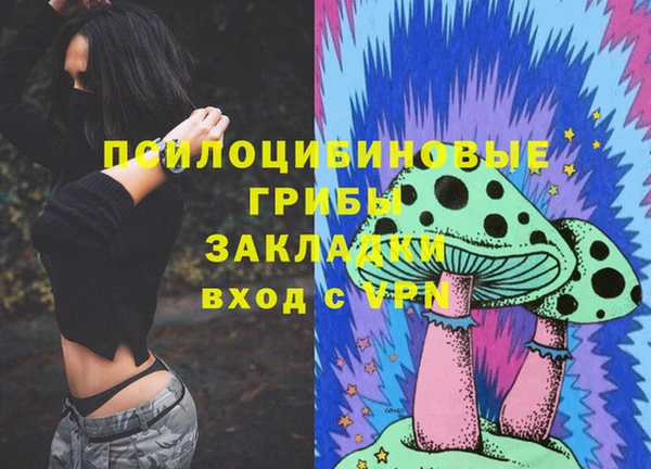 крисы Дмитров