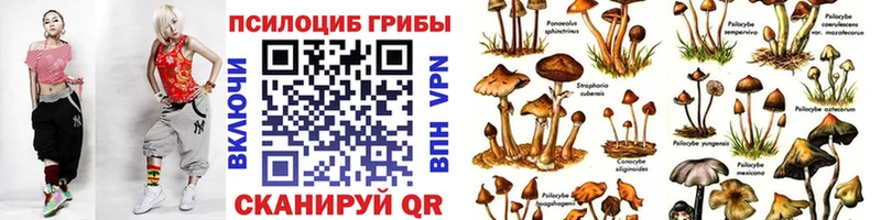 Галлюциногенные грибы GOLDEN TEACHER  Купить  Верещагино 